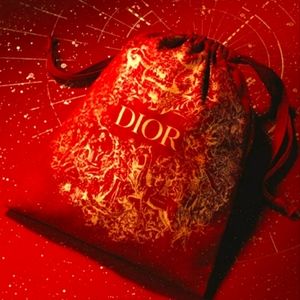 Dior Pouch